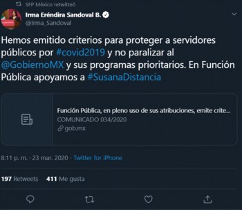 La secretaria Irma Erendira Sandoval