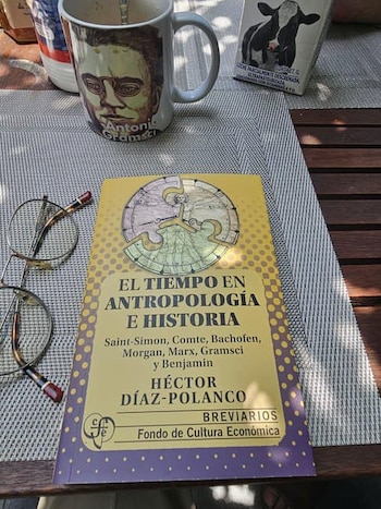 El nuevo dirigente de Morena