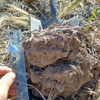 En la investigación se midieron