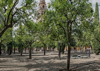 Patio de Los Naranjos. (Mezquita-Catedral Córdoba)