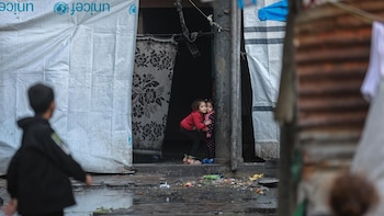 Ocho países musulmanes aceptan la