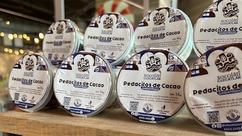 El déficit comercial de cacao en El Salvador creció por segundo año consecutivo y ya supera los USD 21 millones (Foto cortesía: Alianza Cacao El Salvador)