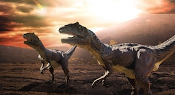 El asteroide que mató a los dinosaurios era una roca espacial rarísima que casi nunca cae en la Tierra