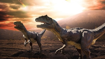 El asteroide que mató a los dinosaurios era una roca espacial rarísima que casi nunca cae en la Tierra