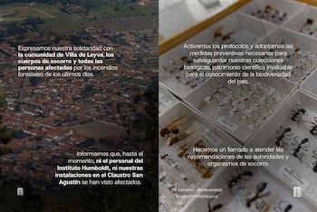 Instituto Humboldt activa protocolos para proteger sus colecciones biológicas por incendios en Villa de Leyva - crédito @inst_humboldt/X