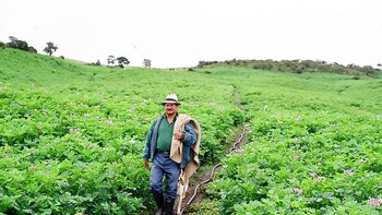 135 mil campesinos productores