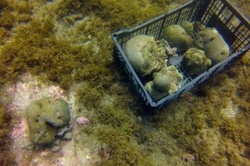 Fotografía del 22 de octubre