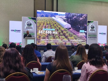 Óscar Alejandro Domínguez, viceministro de Agricultura y Ganadería, expone las estrategias del gobierno para fortalecer la seguridad alimentaria ante líderes del sector exportador. /Infobae Centroamérica.