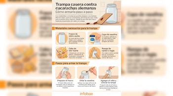 Infografía de trampa casera contra cucarachas. Muestra un frasco de vidrio, vaselina, cebo, rampa y cucarachas, con pasos ilustrados.