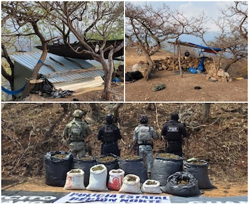 En el sitio fueron encontrados costales con grandes cantidades de presunta marihuana. Crédito: FGE Guerrero