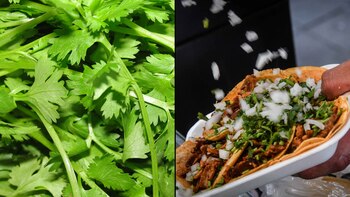 Las taquerías han optado por