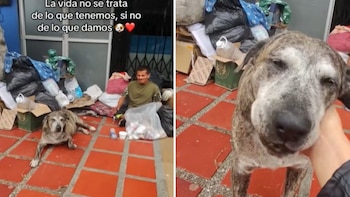La historia de cada animal