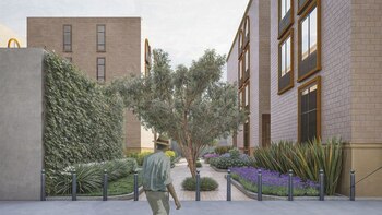 (Cortesía Universidad de Monterrey UDEM