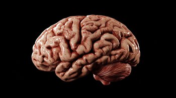 Los tumores LCP representan el