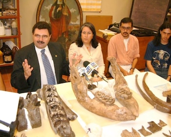 Hallazgos de fósiles animales en el río Tomayate