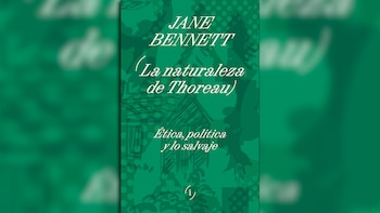 Imagen 5RMDT6UDENAYPCHAARUJIDNUEU