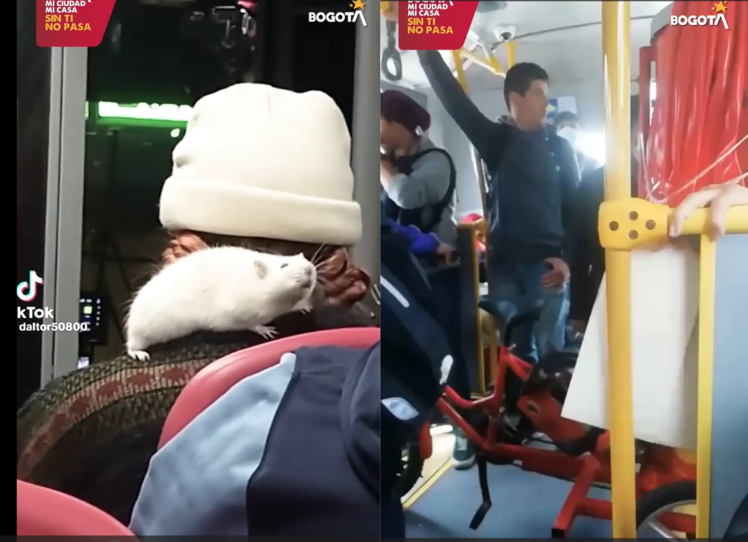 La Alcaldía Mayor de Bogotá advierte que objetos que superen los 60 centímetros están vetados en Transmilenio y pueden acarrear multa de $618.666 - crédito Alcaldía de Bogotá(Instagram