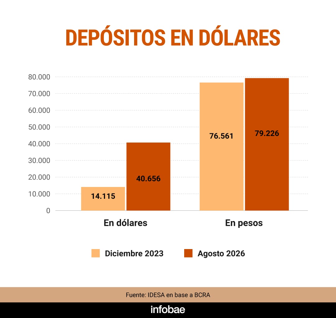 Este gráfico muestra la evolución de los créditos en dólares y en pesos entre 2023 y 2026 (Imagen Ilustrativa Infobae)