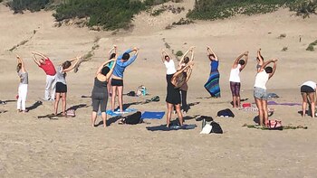 Los grupos se conforman los