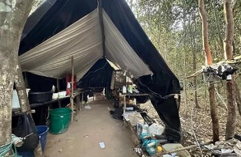 La afectación a estas economías ilícitas superan los 3.000 millones de pesos - crédito Ejército Nacional