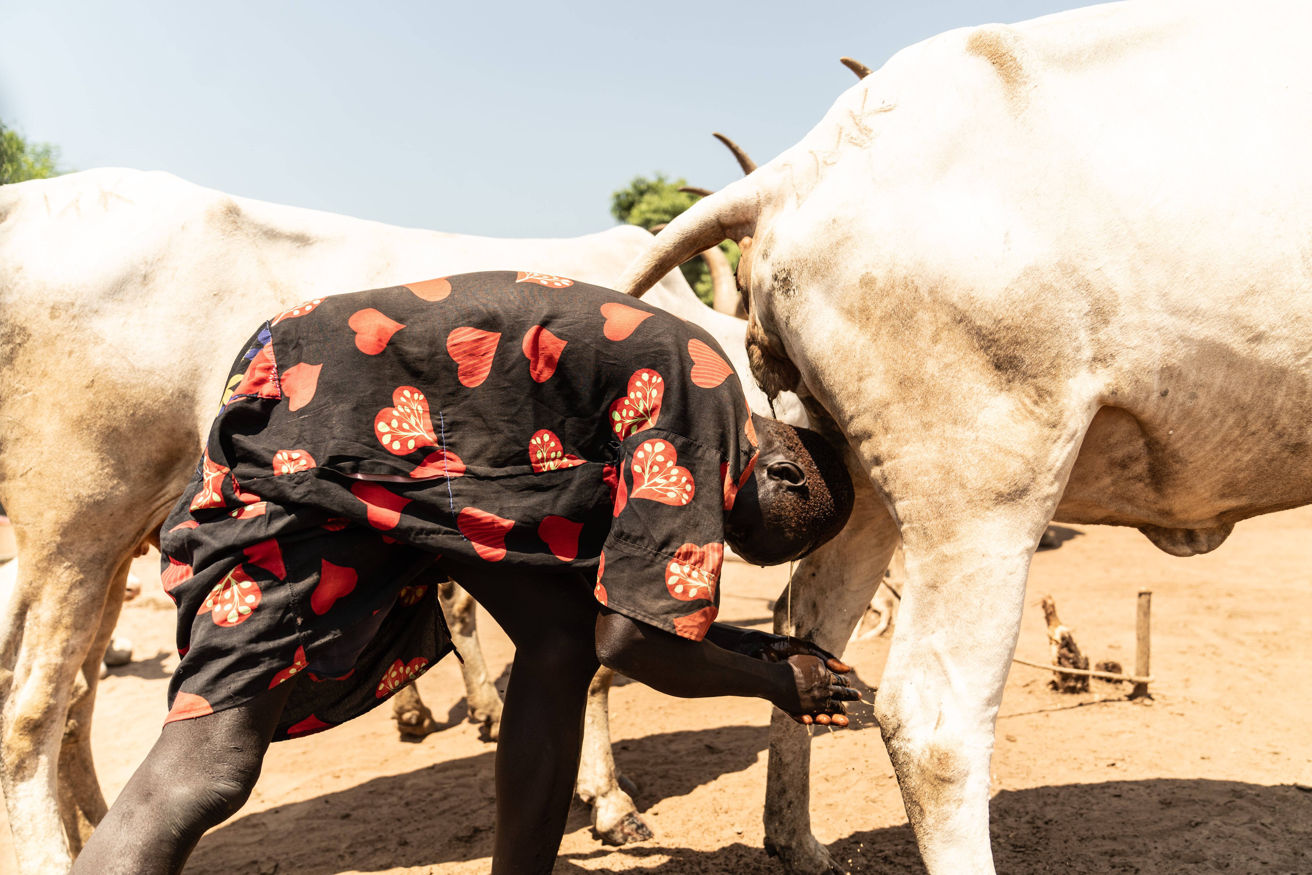 “Los mundari se bañan con pis de vaca: la vaca está haciendo pis y ellos se meten abajo para lavarse la cabeza”, cuenta Sofía