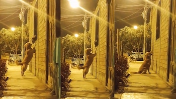 Imagen 5RPCXJABONDEZGBBONWP27CTCE