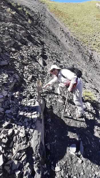 Aguirre-Urreta ha realizado importantes aportes