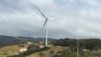 Cada torre alcanza aproximadamente 67