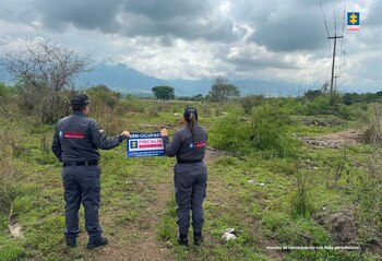 Los bienes alcanzarían los $800
