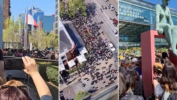 Caos en el Día del Tulipán en Chile: multitud se peleó por las flores gratis y hubo varios descompensados