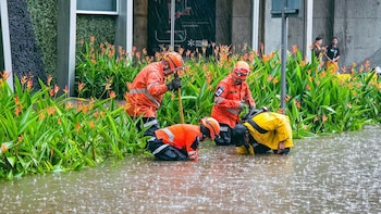 El gobierno de El Salvador
