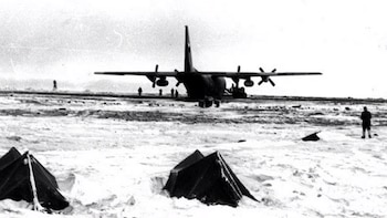 Este año se conmemora el