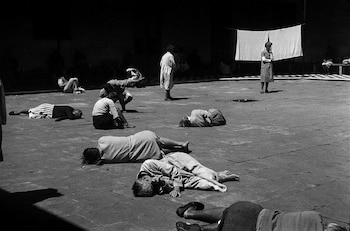 Obra de Alicia D'Amico de