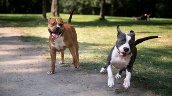 Desde el movimiento de la