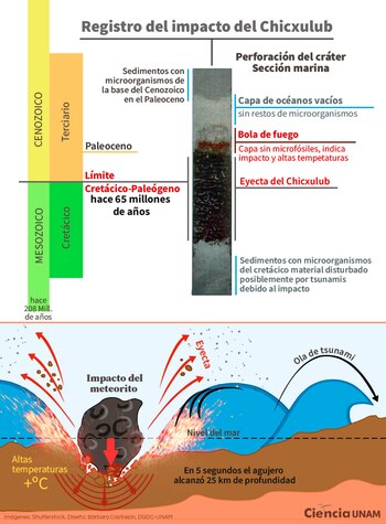 El cráter de Chicxulub, evidencia