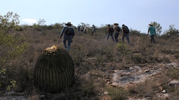 Reúnen 14 mil firmas para frenar proyecto turístico que deforestaría más de 100 hectáreas en El Saltito, Baja California