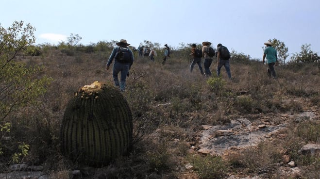 Reúnen 14 mil firmas para frenar proyecto turístico que deforestaría más de 100 hectáreas en El Saltito, Baja California