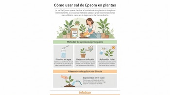 Infografía ilustrada que muestra a una persona aplicando sal de Epsom a plantas, con cuatro métodos detallados para su uso en jardinería.