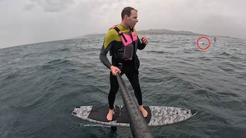 El dramático video que muestra cómo dos surfistas fueron perseguidos por un tiburón blanco: “No pares”
