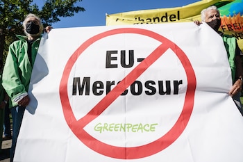 Los ambientalistas europeos exigen que se detenga la expansión agrícola ganadera de la Amazonia brasileña ante sde ratificar cualquier acuerdo comercial.EFE/EPA/CLEMENS BILAN/Archivo