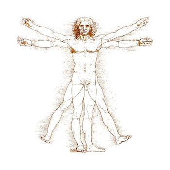 Los contratos detallados de la