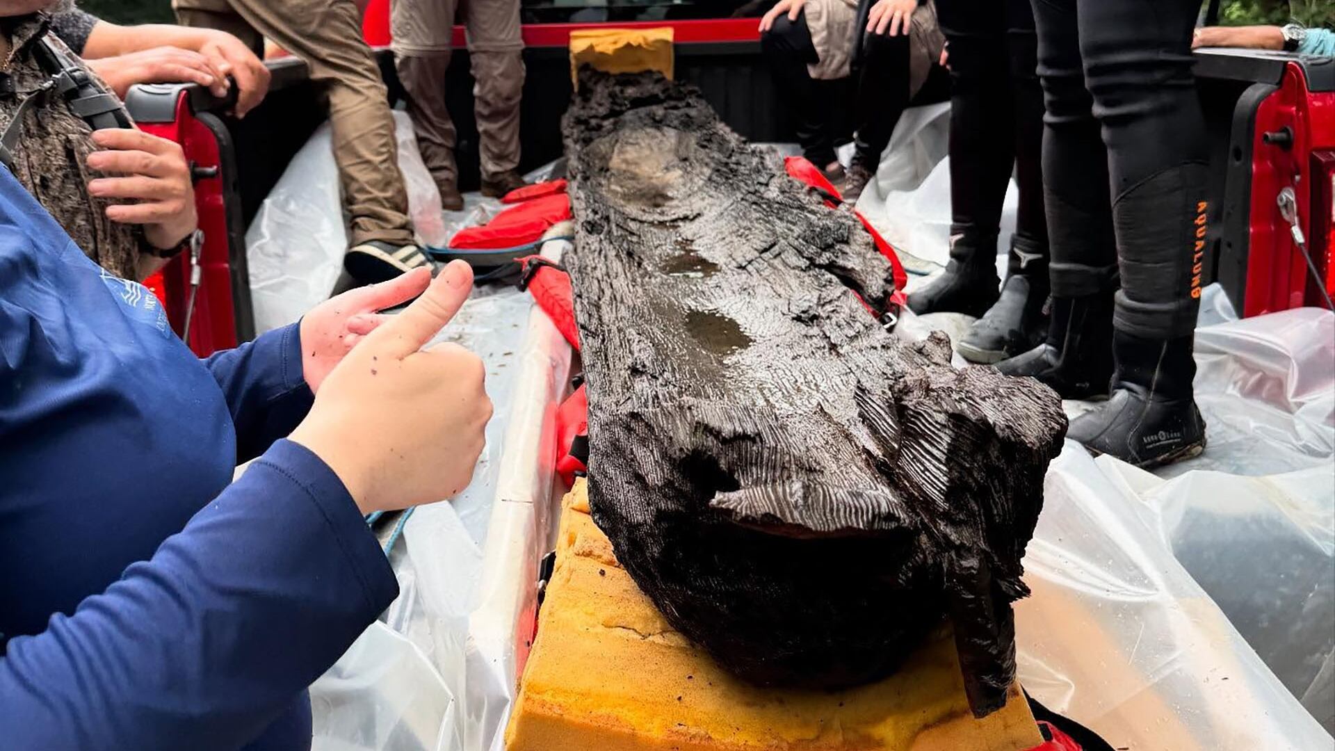 La extracción de una canoa indígena del fondo del río South ofrece una ventana excepcional hacia formas de navegación precoloniales aún poco documentadas (Pam Cashwell, secretaria de recursos naturales y culturales de Carolina del Norte)