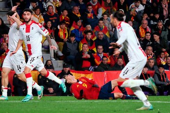 Gavi tendido en el suelo