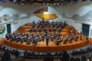 El Ministerio de Cultura y Deportes notificó la finalización del contrato de Mazariegos Dubón, según relataron músicos vinculados a la Orquesta de Formación Artística.