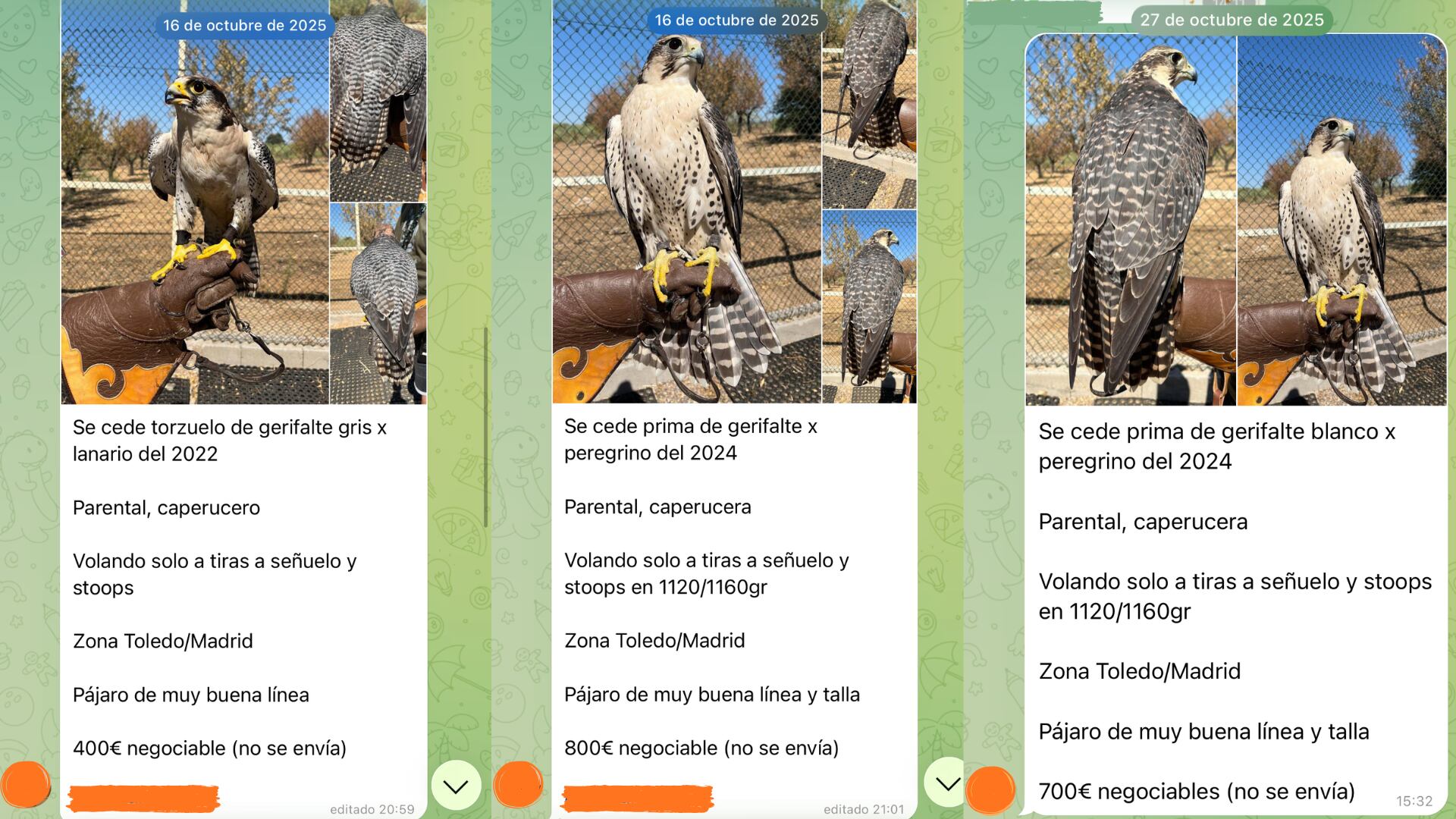 Capturas de pantalla de los tres anuncios en el grupo de venta de Telegram. (Montaje Infobae)