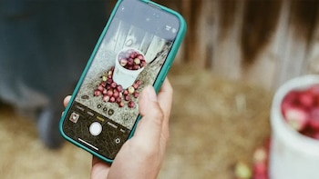 Así puedes borrar objetos de