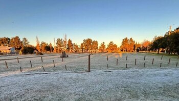 La siembra de trigo avanza