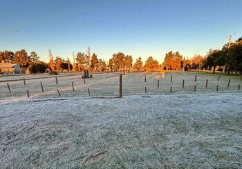 Gracias al ingreso del frío