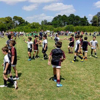 Más de 1000 chicos disfrutaron