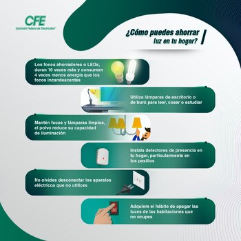 La Comisión Federal de Electricidad